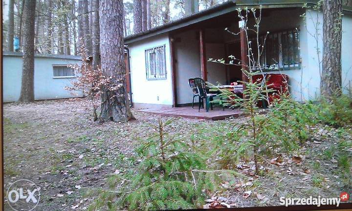 Sprzedam domek letniskowy jeziorem Jeziorak Makowo