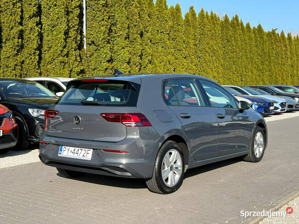 Volkswagen Golf 20 TDI Full LED Ambiente Kamera Baranowo