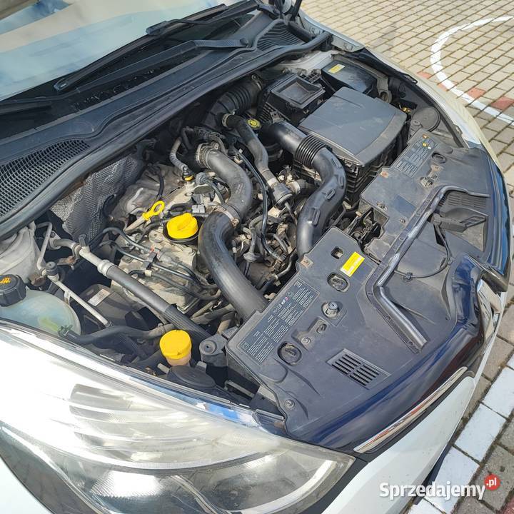 Reno Clio kupiony w Polsce
