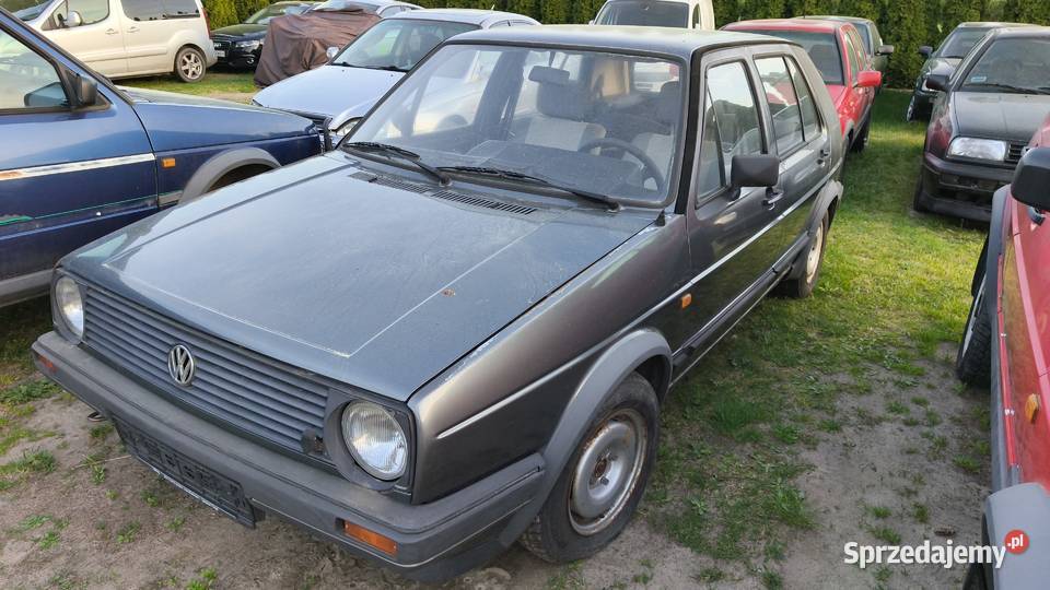 Golf 4x4 Syncro 69 Buczek