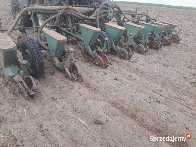 Sprzedam siewnik Pneumasen wielkopolskie Zadory