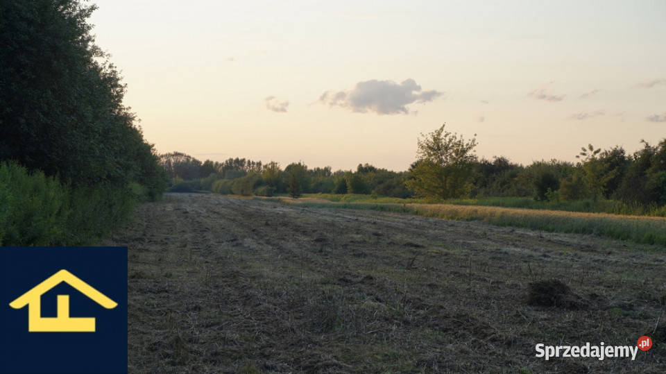 Nieruchomość w Nadbrzeżu siedliskowa