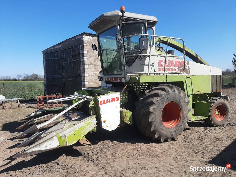 Sieczkarnia Claas jaguar 690 Wągrowiec