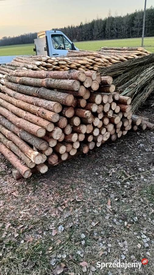 KołkiSłupki ogrodzeniowe mazowieckie Grębków sprzedam