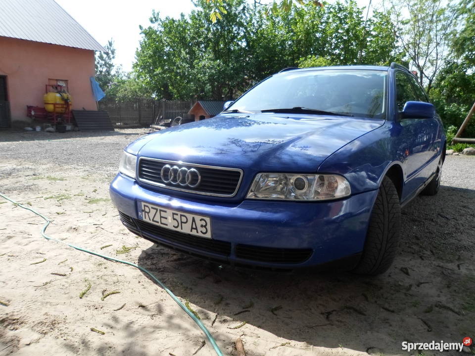 Audi a4 b5 Trzeboś