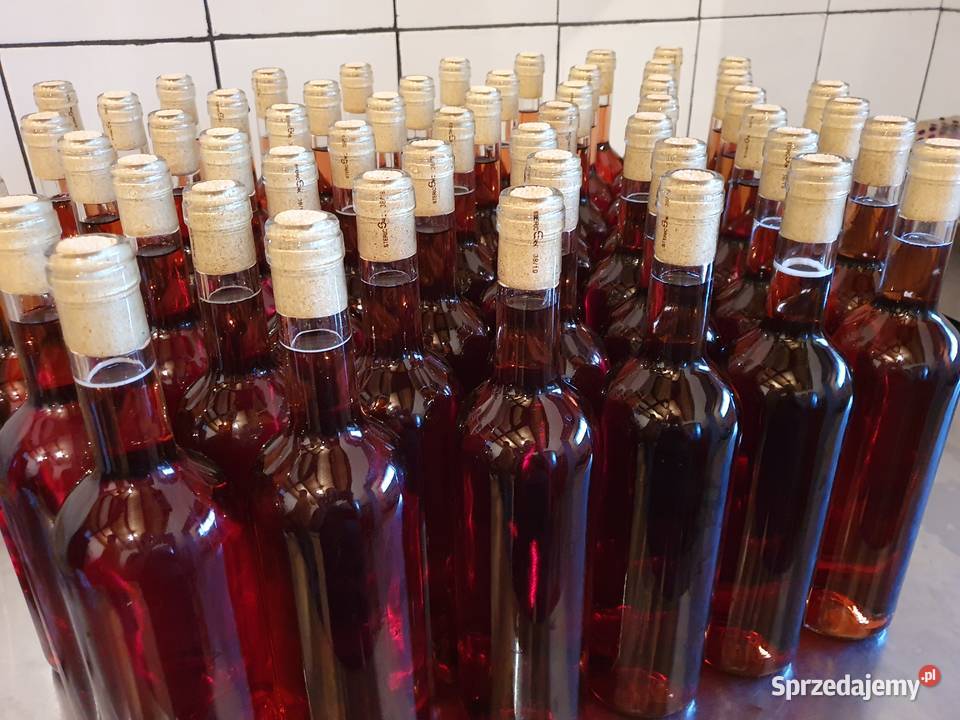 Funkcjonująca Winnica z infrastrukturą i Gwoźnica Górna