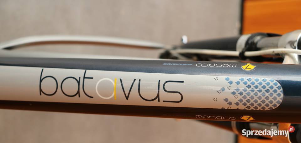 Rower damski Batavus Monaco D 57 RATY