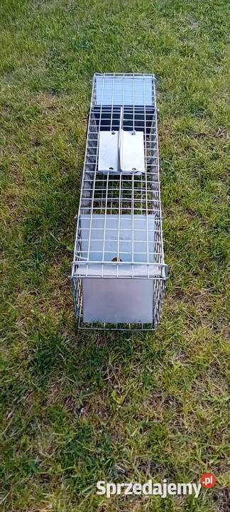 Pułapka na szczury kuny norki Szczecin