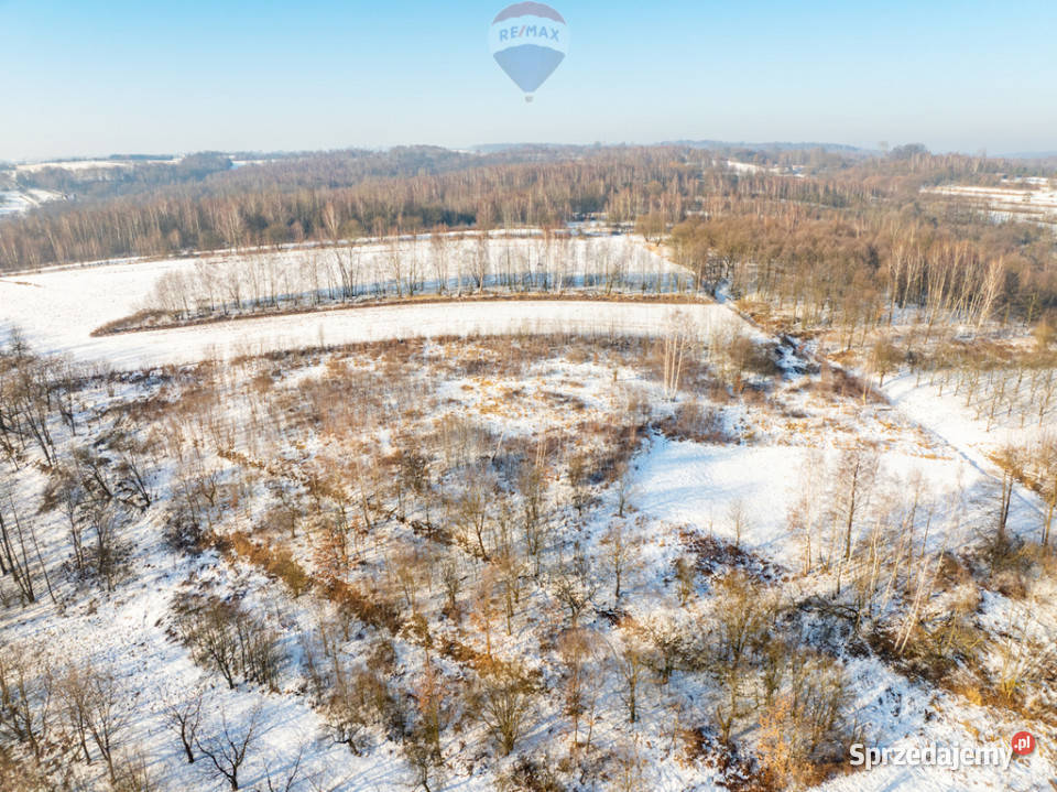 Rolna w urokliwej okolicy Czułów