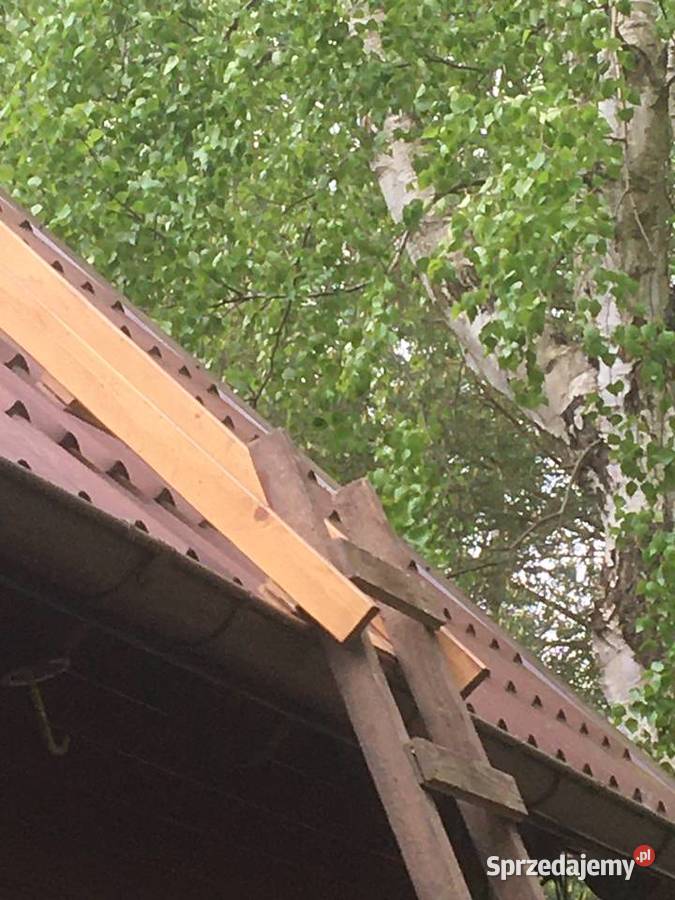 Drabina dachowa do wynajęcia sąsiedzku Sasino