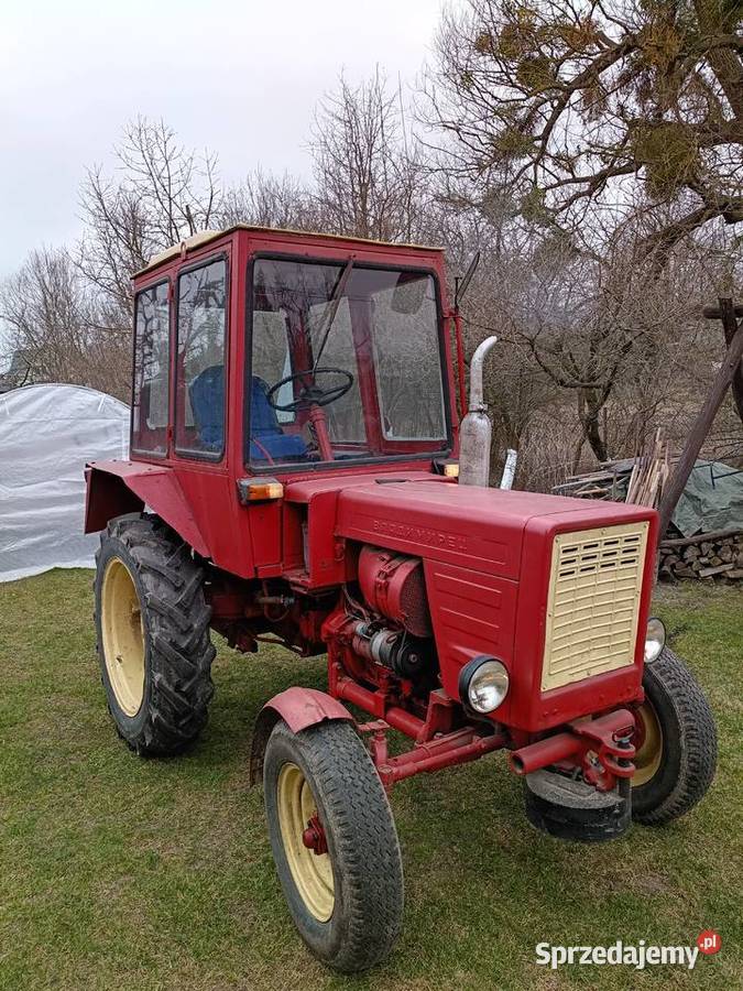 Władimirem t25 Cyców