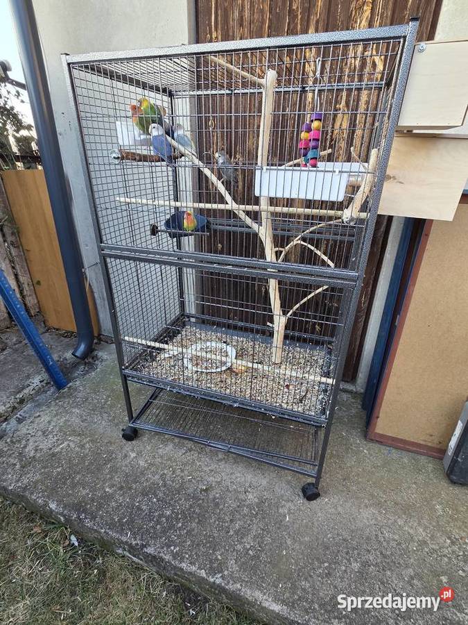 Nierozłączki z klatką