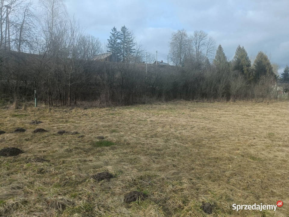 Działka rolna Stawki pow 3703 m2 sprzedam