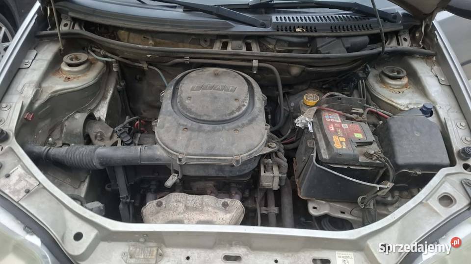 Punto 12 2003r Trzemeszno