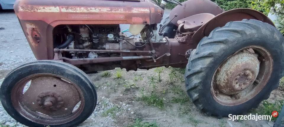 Massey Ferguson MF 35 Kornatowo sprzedam