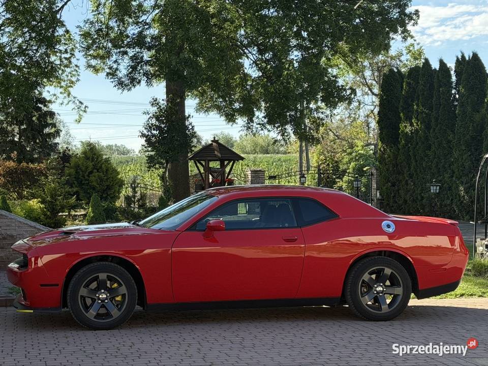 Dodge Challenger Piękny Stan V6 nieuszkodzony Sandomierz