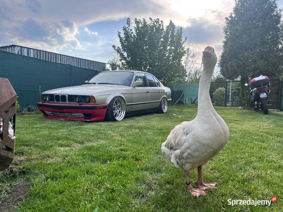 BMW E34 520i airride manualna Bydgoszcz