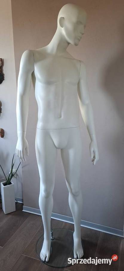 Manekin męski solidny Pozostałe Olkusz sprzedam