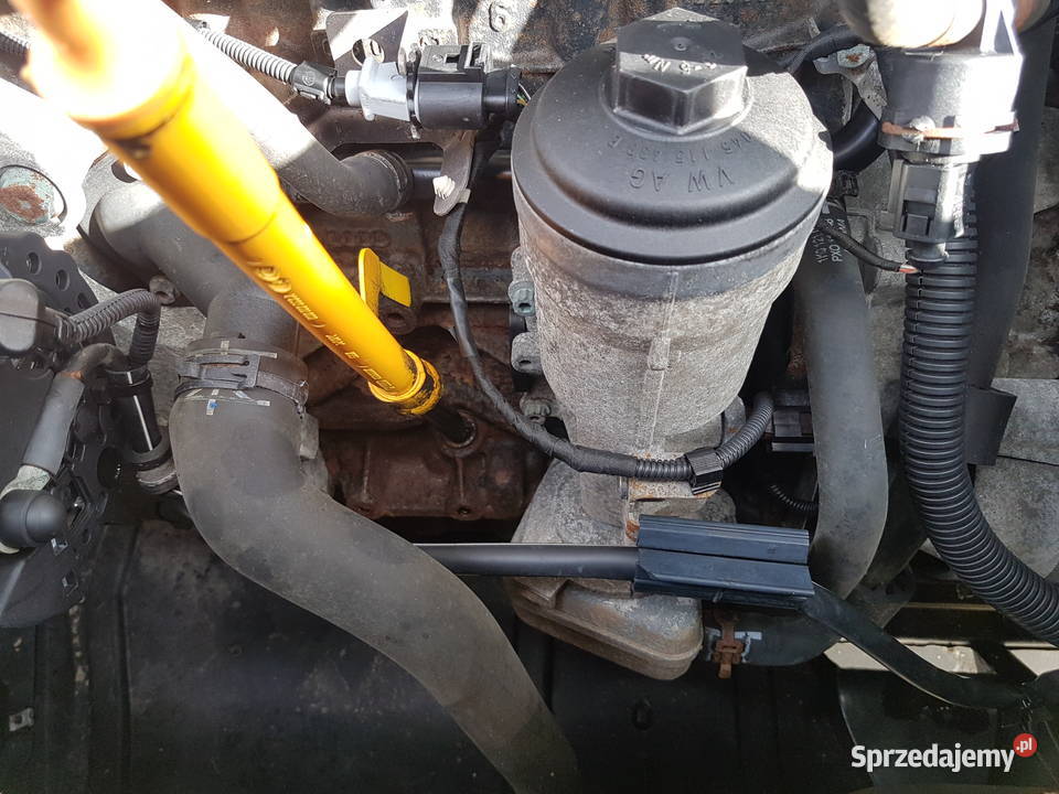 VW CADDY GOLF V 19 SDI 69 SILNIK BST MOTOR Rok produkcji 2006 Turkowice