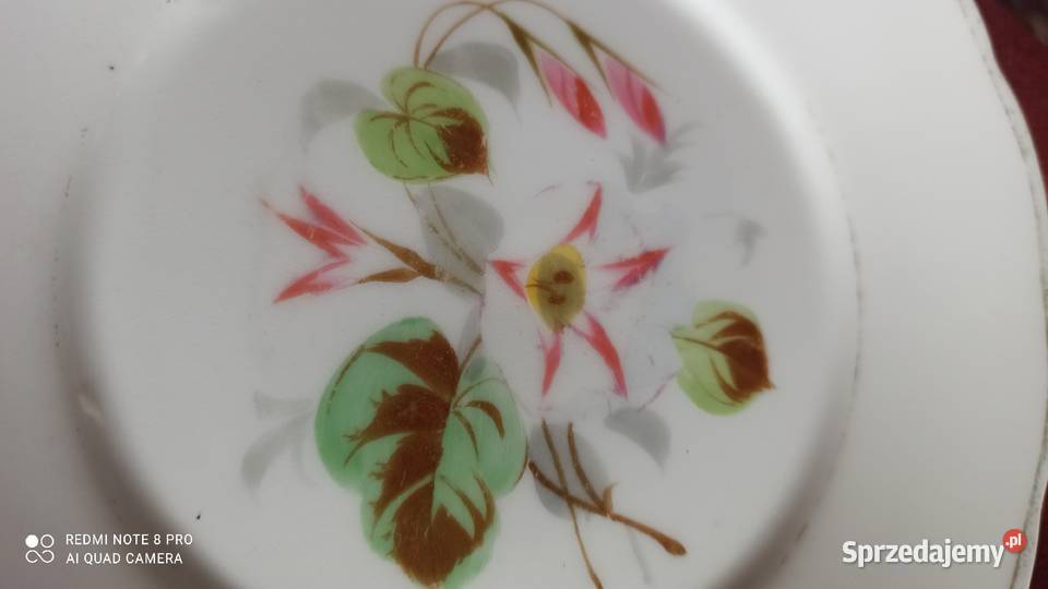 Talerzyki deserowe Sygn CT Altwasser z lat 1875 Porcelana i szkło