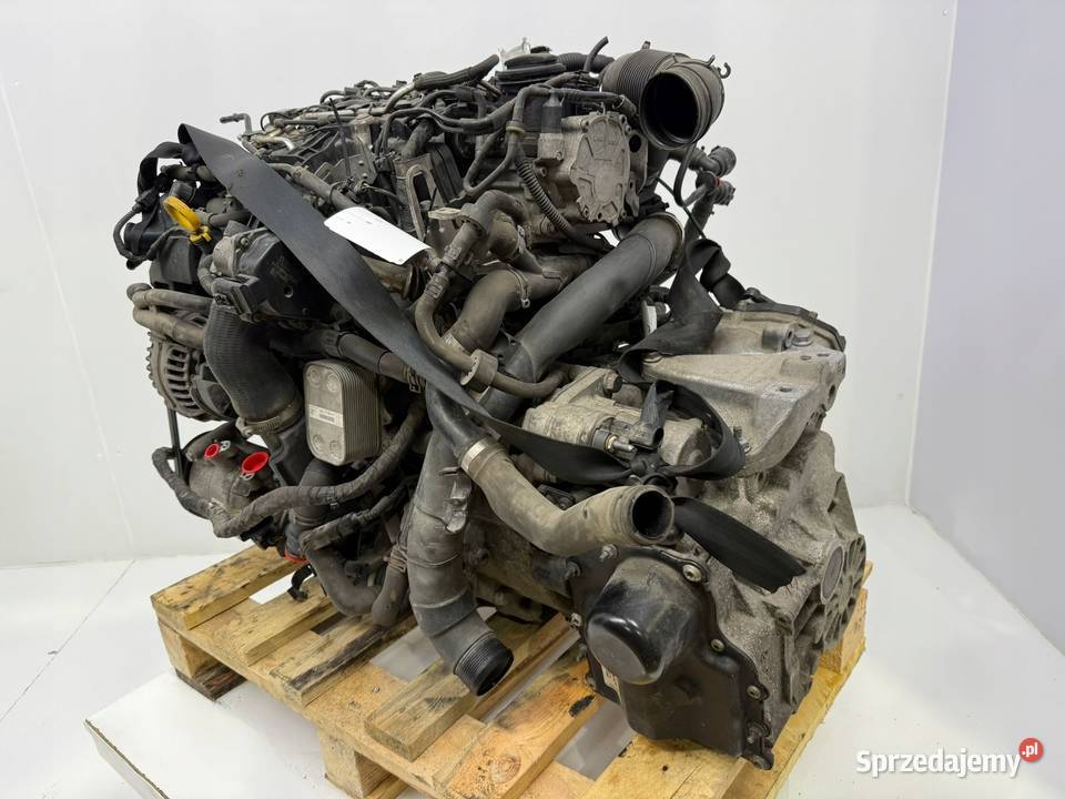 SILNIK CAY CAYD VW Caddy III IV 16 TDI 102 Chełm