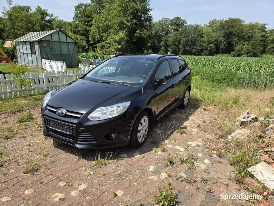 Ford Focus 2014r 10 pomorskie