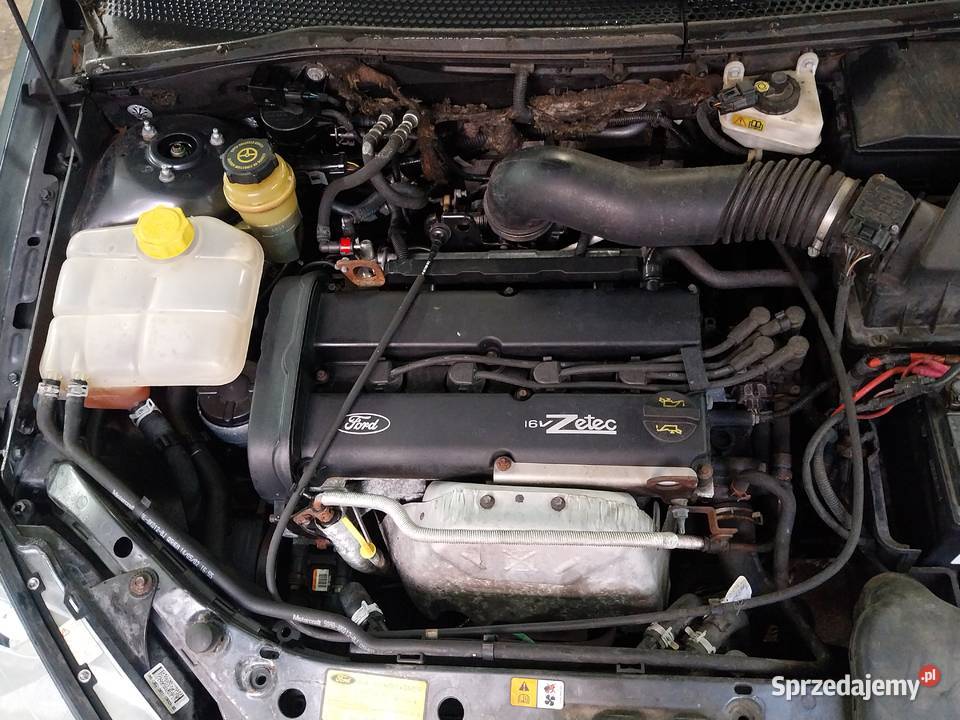 Ford focus manualna Jawor