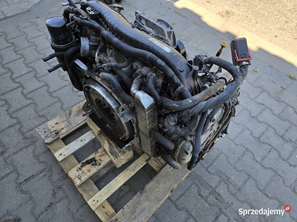 Subaru Outback Forester impreza legacy silnik 20 osobowe Silniki kompletne Legnica