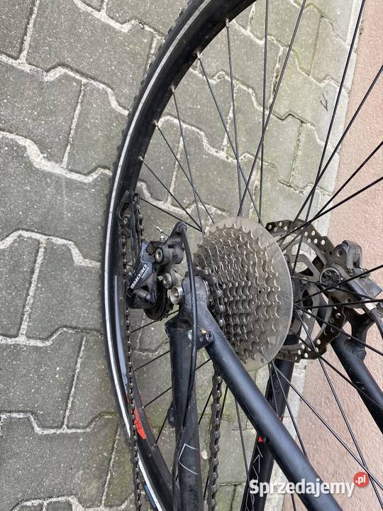 Kross Evado 70 Łódź