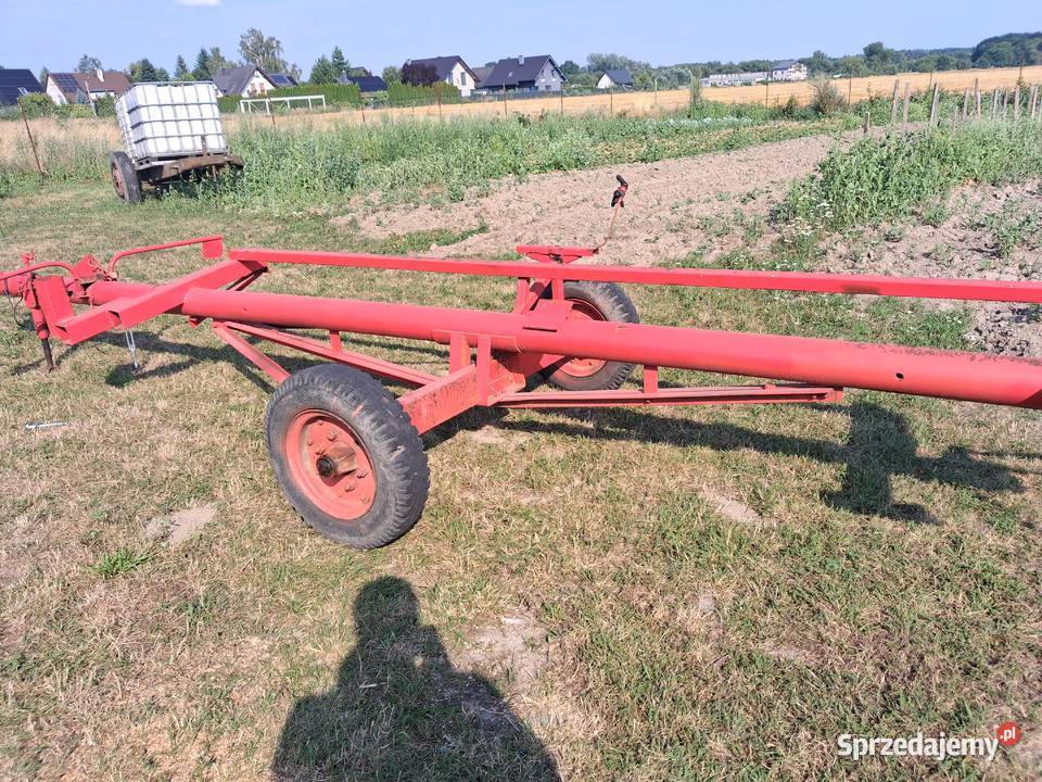 BIZON Z056 Bizon Bukowina