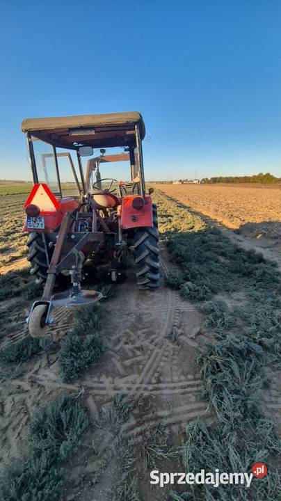 Kosiarka do ziół tymianek nieuszkodzony Pozostałe Stężyca-Kolonia