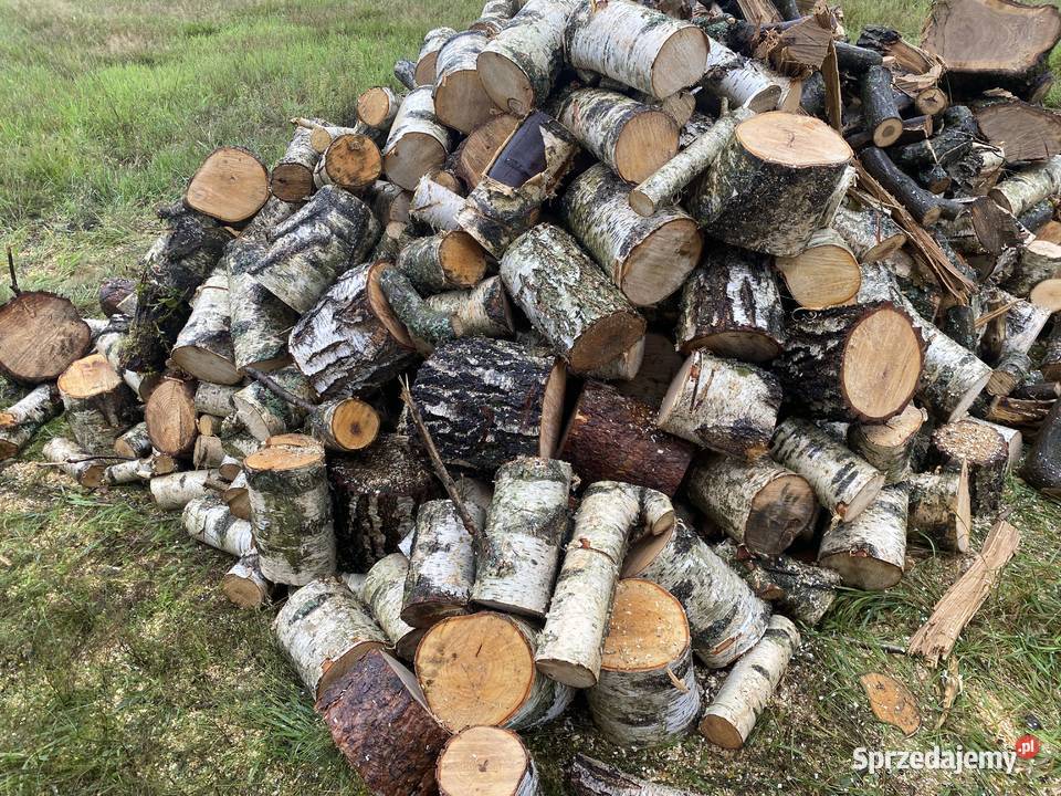 Sprzedam drewno kominkowe i opałowe Dom i Ogród Kołobrzeg