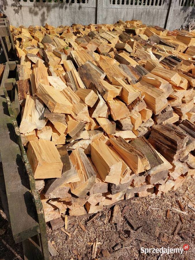 Sosna Opał drewno drzewo drewno kominkowe Rosanów