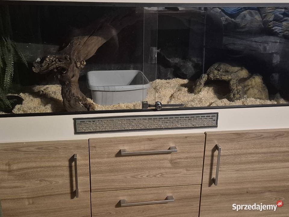 Terrarium Starachowice