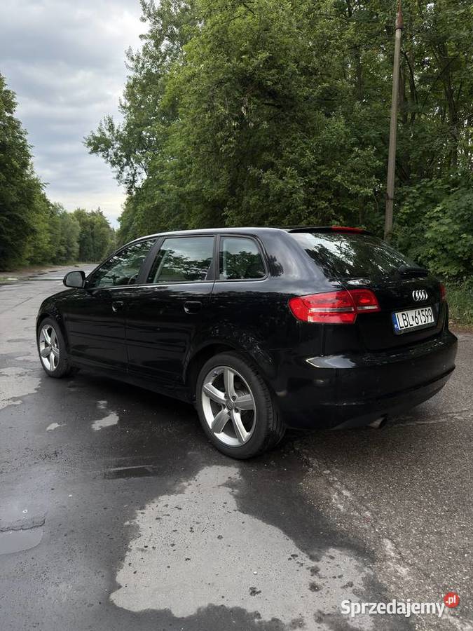 Audi A3 8P DSG Pionki