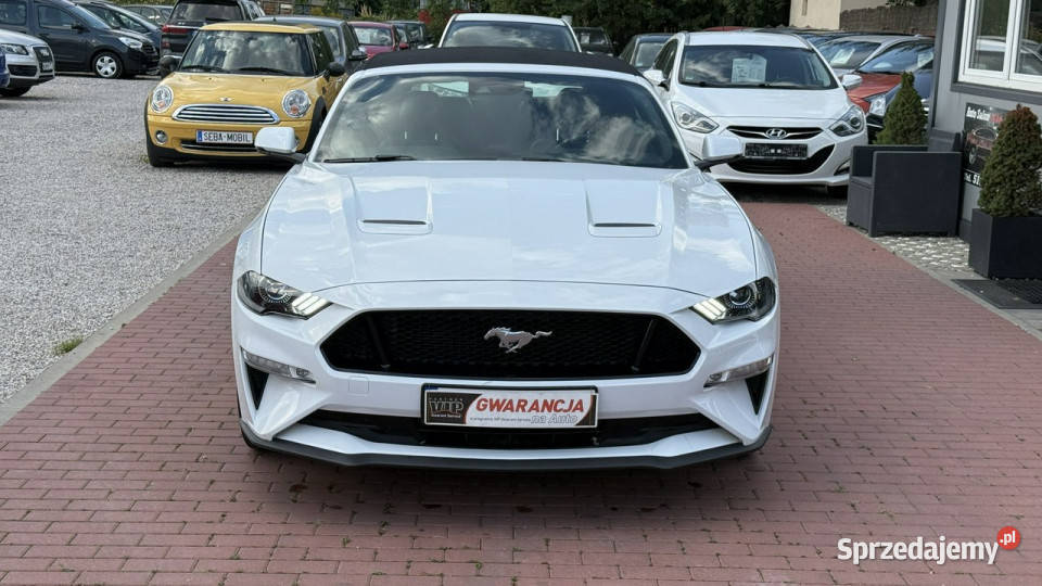 Ford Mustang Cabrio Wypas Automat VI 2014 Sade Budy
