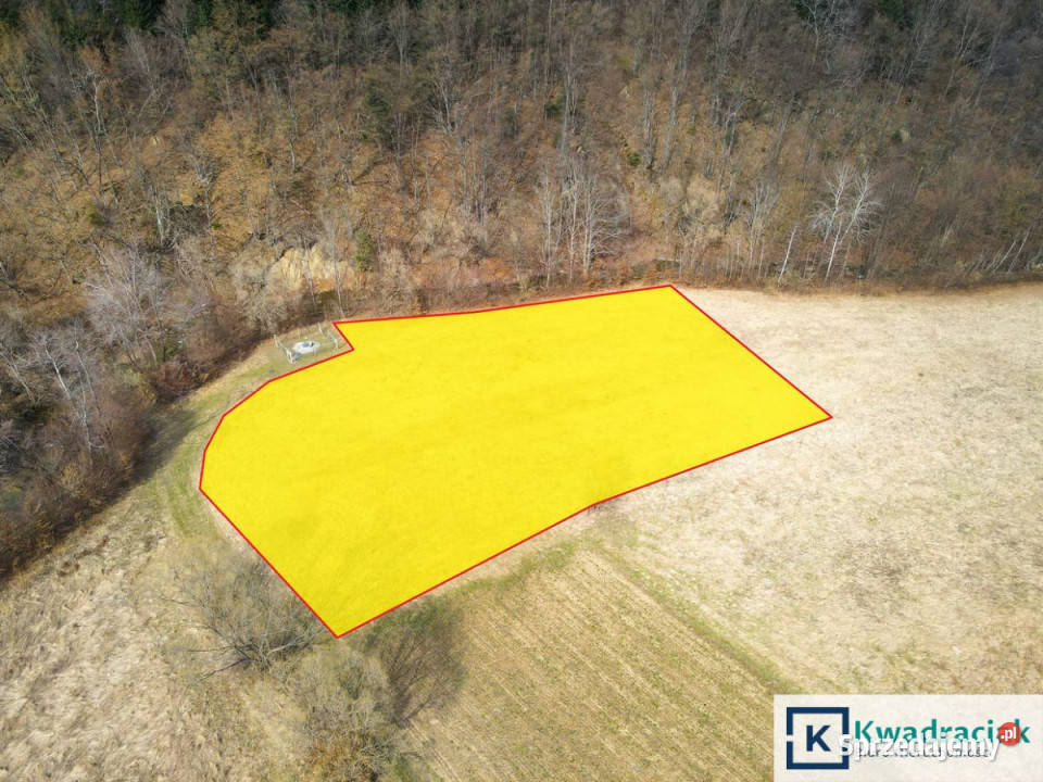 Działka 3992 metry Wołkowyja 3992m2