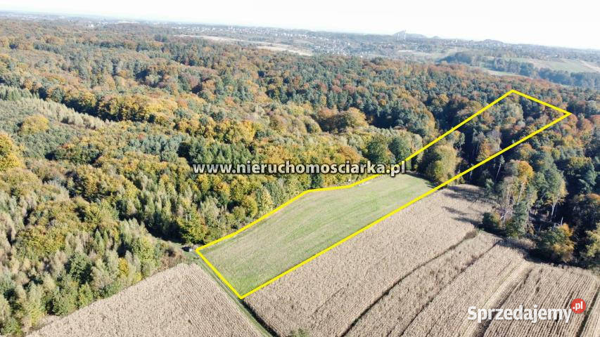 Grunt 15327m2 Syrynia