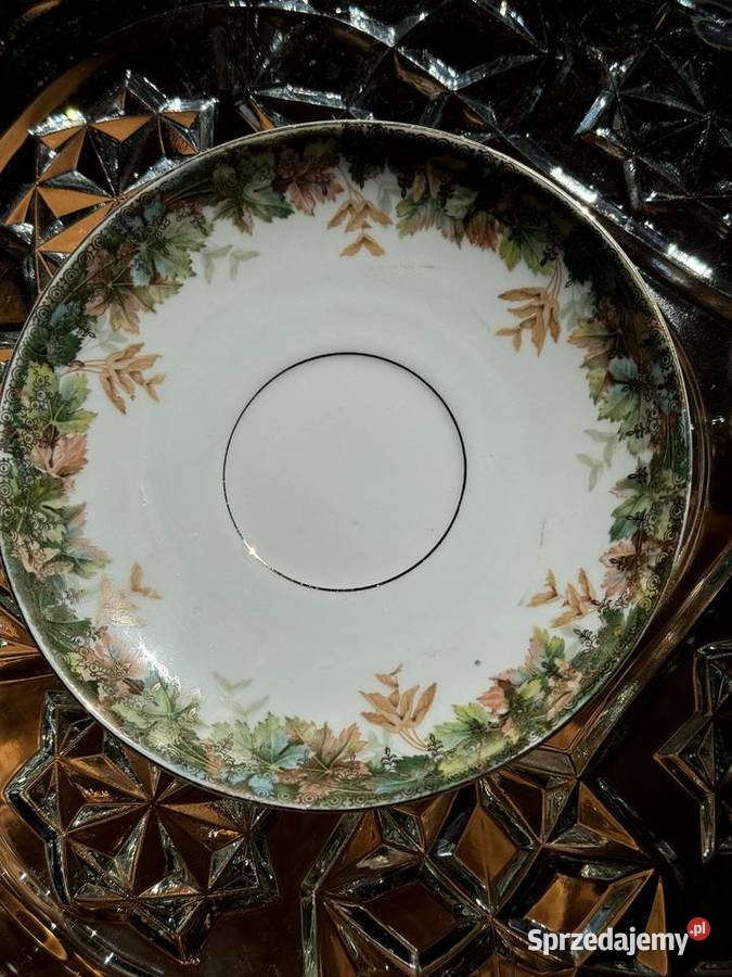 Filiżanka CT Altwasser Porcelana i szkło sprzedam