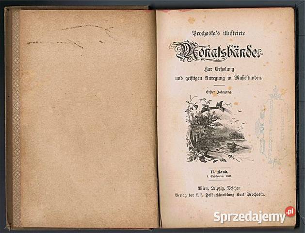 Monatsbnde Zur Erholung und geistigen Anregung Antykwariat