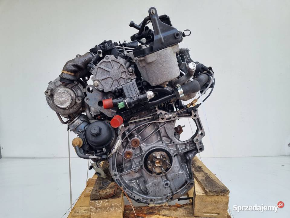 SILNIK KOMPLET Ford C C II 16 TDCI 115 T1DA T1DB lubelskie Rudka