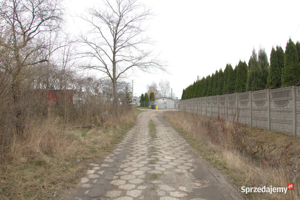 Syndyk sprzeda działkę na Skrajnej SP strefa Sprzedaż Kielce