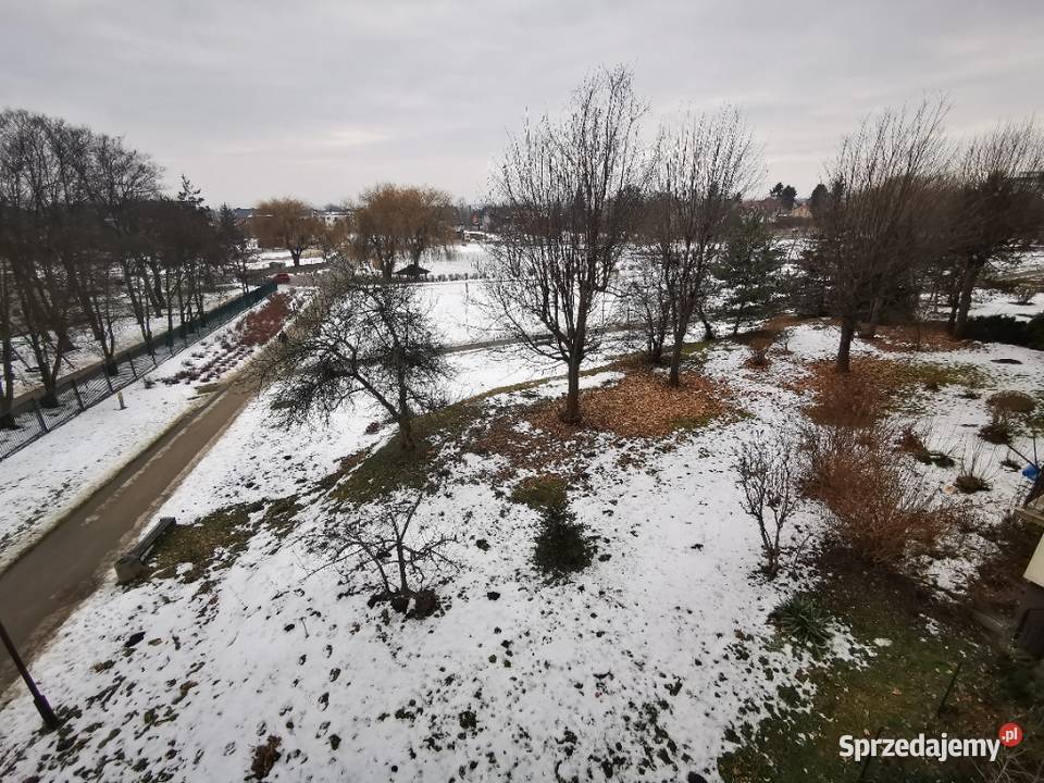 BuskoZdrój 2 pokoje balkon 1190 zaraz oddzielna kuchnia Busko-Zdrój