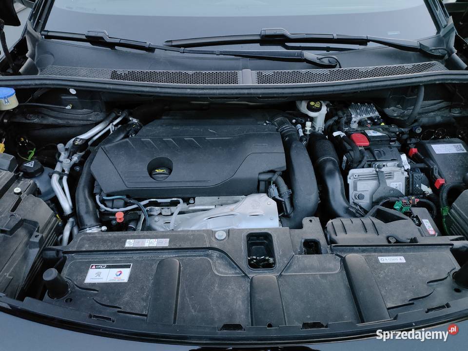 Peugeot 3008 hybryd plagin 300 full Jarocin