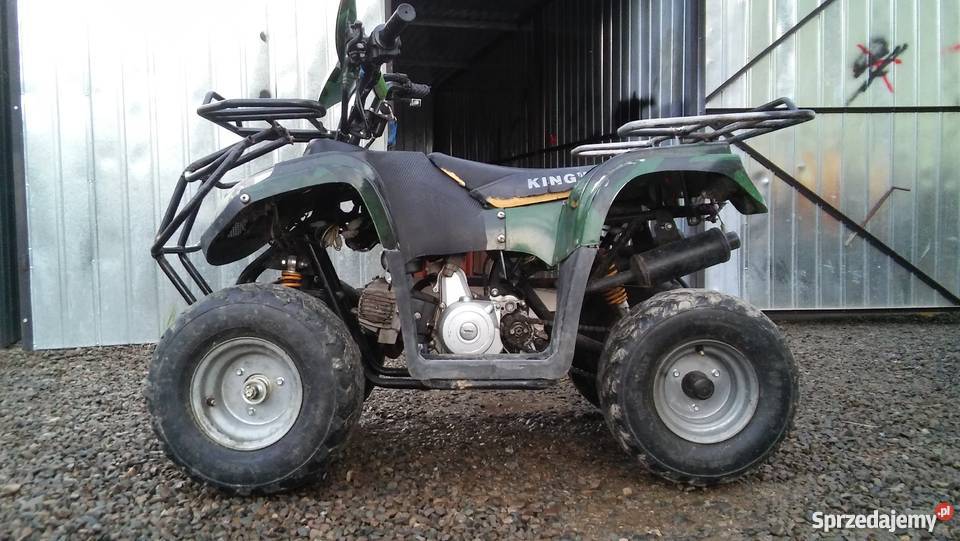 Quad 110 kingway 100km Dubiecko