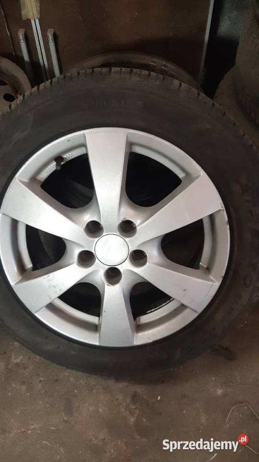 Kola reno laguna Zelów