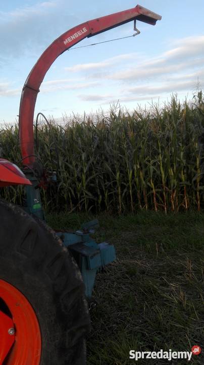 Sieczkarnia kukurydzy MENGELE jednorzędowa nieuszkodzony kujawsko-pomorskie Wielkie Radowiska