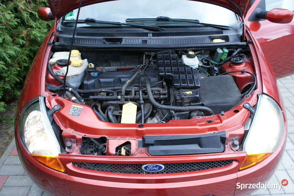 FORD KA13 70 Bezwypadkowy Super StanLakier Olsztyn