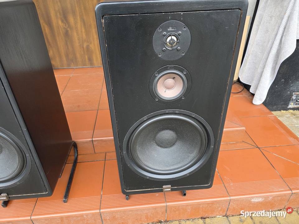 mega bas canton ct1000 20hz30khz śląskie Chełm Śląski