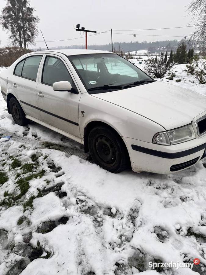 Skoda octavia 1 19 TDI 110 Octavia Kwidzyn